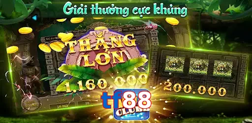 tf88